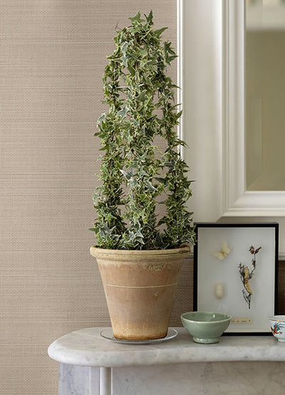 product image for Spinnaker Peach Netting Wallpaper 56