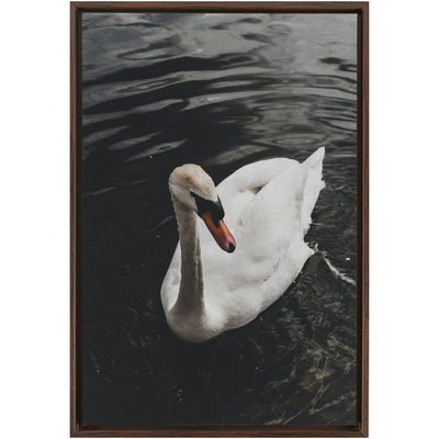 product image for swan framed canvas 17 74