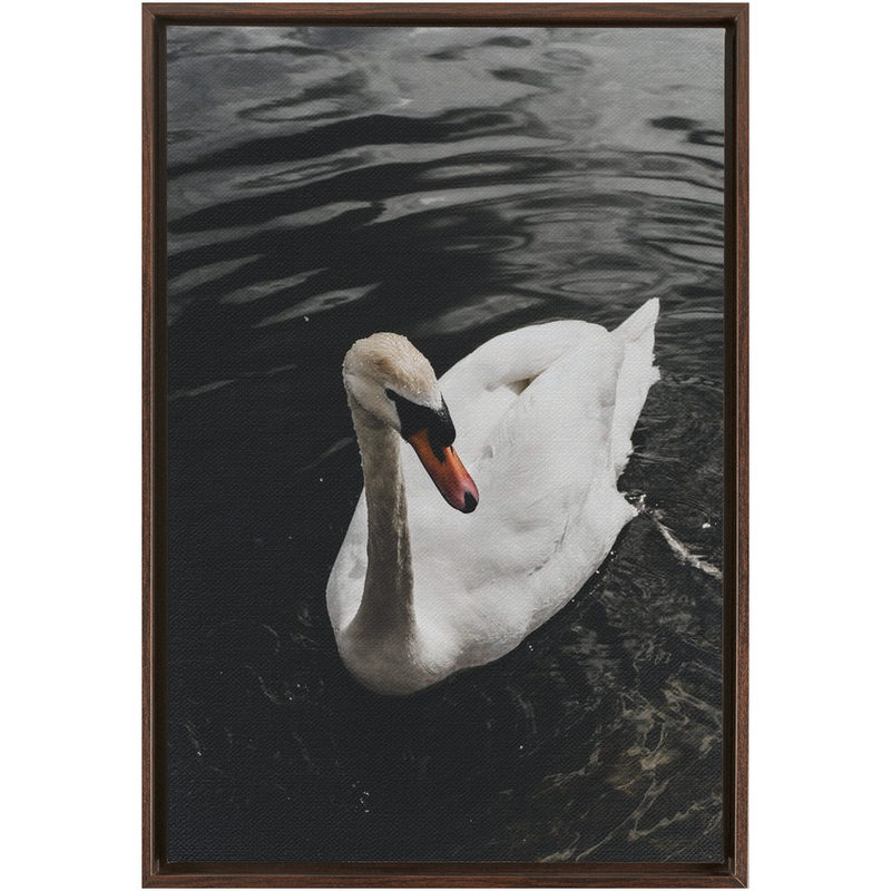 media image for swan framed canvas 17 224