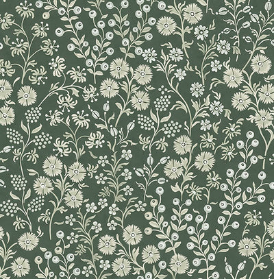 product image of Liana Evergreen Trail Wallpaper from the Posy Collection by Brewster 570