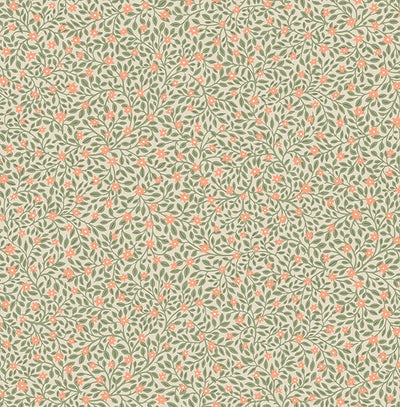 product image of Marguerite Light Green Floral Wallpaper from the Posy Collection by Brewster 517