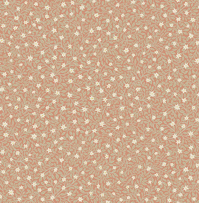 product image of Marguerite Rose Floral Wallpaper from the Posy Collection by Brewster 535