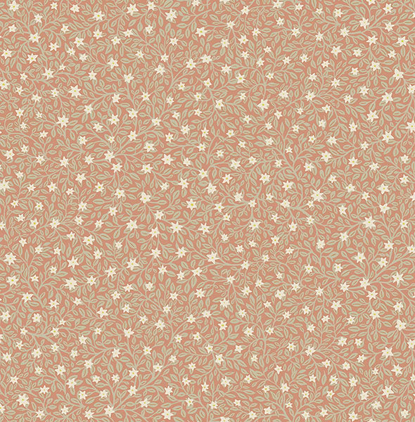 media image for Marguerite Rose Floral Wallpaper from the Posy Collection by Brewster 231