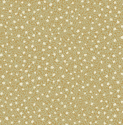 product image of Marguerite Chartreuse Floral Wallpaper from the Posy Collection by Brewster 527