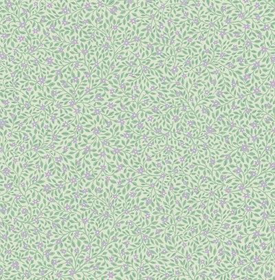 product image of Marguerite Periwinkle Floral Wallpaper from the Posy Collection by Brewster 578