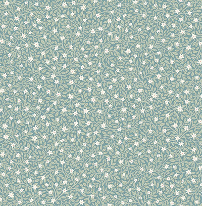 product image of Marguerite Sea Green Floral Wallpaper from the Posy Collection by Brewster 581