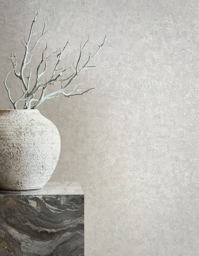 product image for Plaster Wallpaper in Grey 25