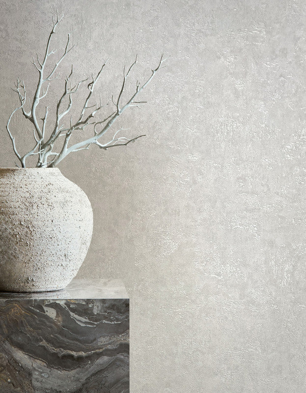 media image for Plaster Wallpaper in Grey 20