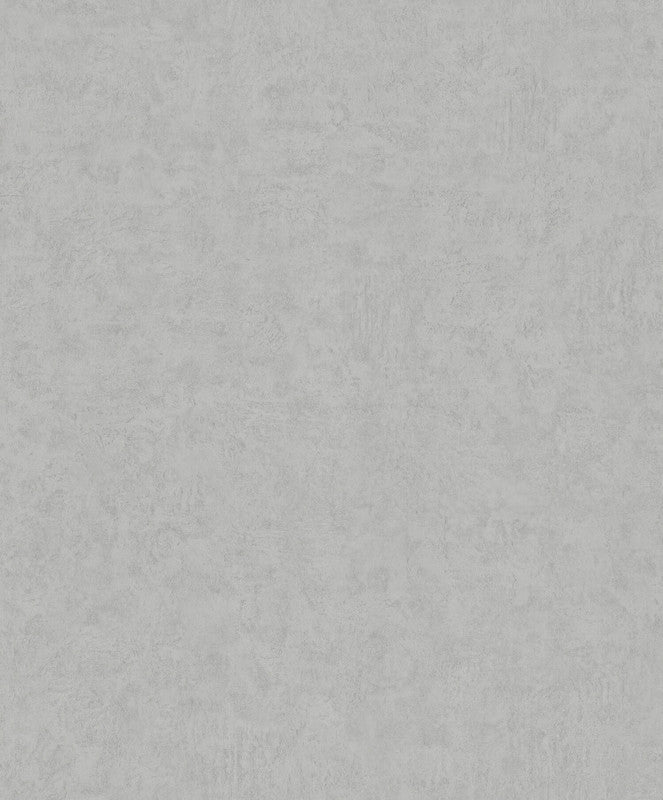 media image for Plaster Wallpaper in Grey 221