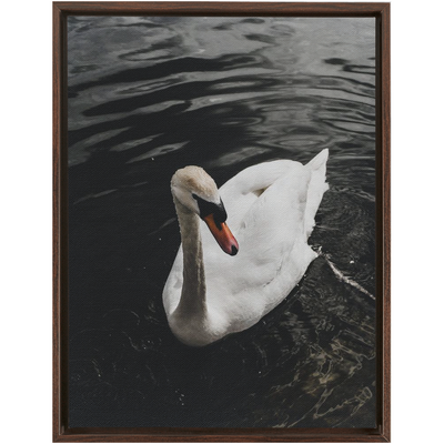 product image for swan framed canvas 14 87
