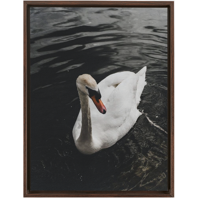 media image for swan framed canvas 14 227
