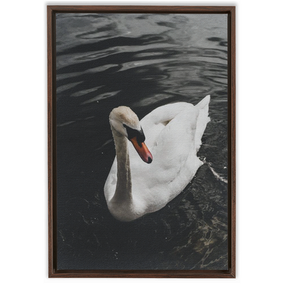 product image for swan framed canvas 8 26