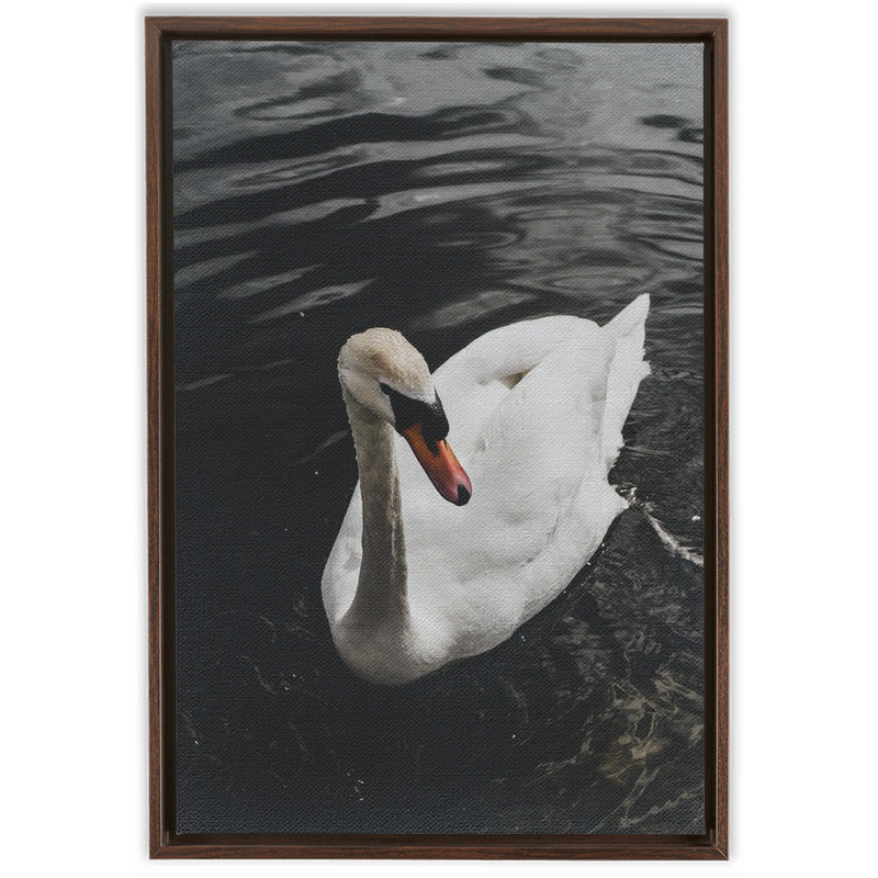 media image for swan framed canvas 8 275