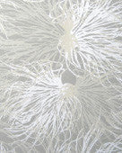 product image of sample anemone wallpaper in wet stone design by jill malek 1 558