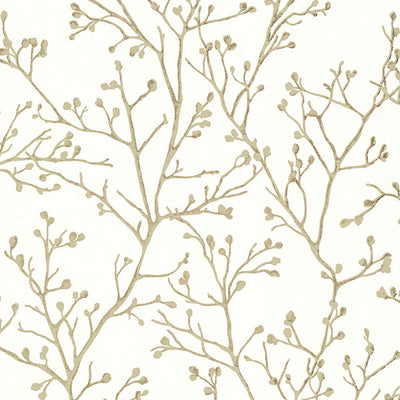 product image of Koura Cream Budding Branches Wallpaper from the Lustre Collection by Brewster Home Fashions 510