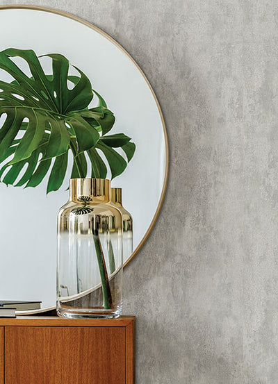 product image for Deimos Silver Distressed Texture Wallpaper from the Lustre Collection by Brewster Home Fashions 91