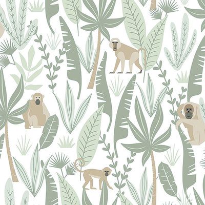 product image of sample kiki light green monkeys wallpaper from the fable collection by brewster 1 517