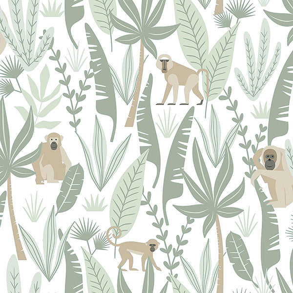 media image for sample kiki light green monkeys wallpaper from the fable collection by brewster 1 241