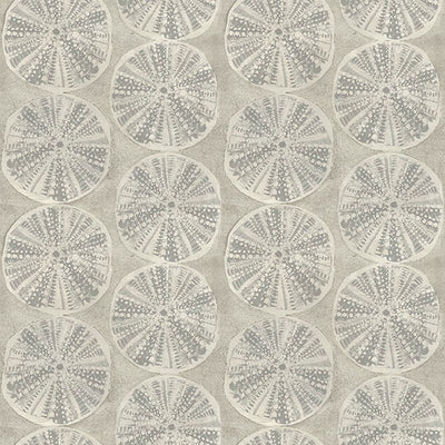 product image for Sea Biscuit Grey Sand Dollar Wallpaper 18