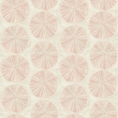 product image of Sea Biscuit Peach Sand Dollar Wallpaper 538