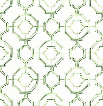 product image of sample gallina green trellis wallpaper from the happy collection by brewster 1 553