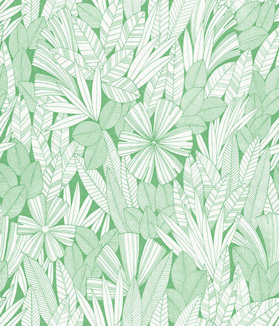 product image of sample bannon green leaves wallpaper from the happy collection by brewster 1 52