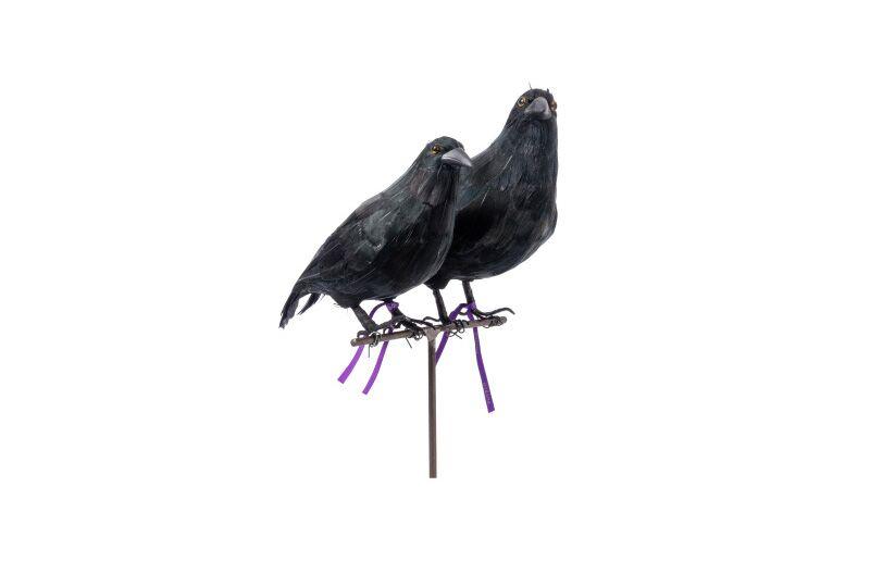 media image for crow large design by puebco 4 265