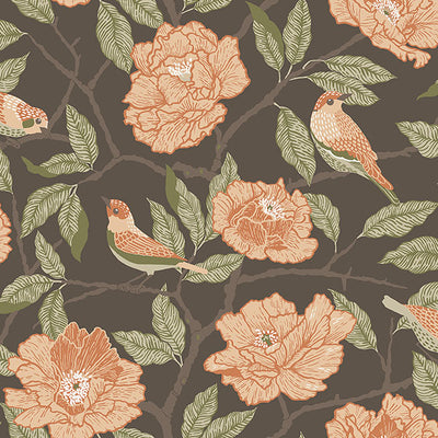 product image for Bernadina Black Rosebush Wallpaper 91