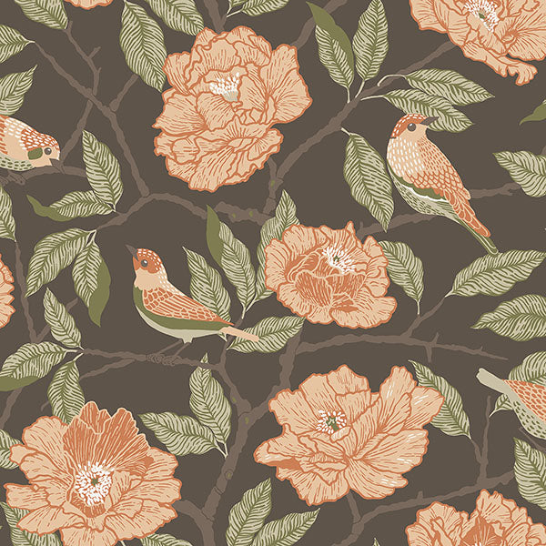 media image for Bernadina Black Rosebush Wallpaper 216