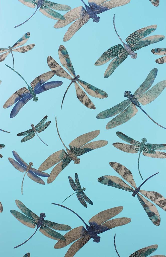 media image for Dragonfly Dance Wallpaper in turquoise from the Samana Collection by Matthew Williamson 250