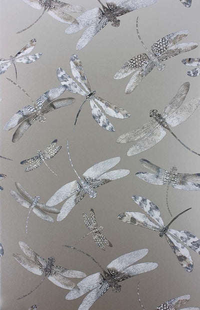 product image of Dragonfly Dance Wallpaper in gray from the Samana Collection by Matthew Williamson 571