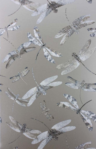 product image for Dragonfly Dance Wallpaper in gray from the Samana Collection by Matthew Williamson 48