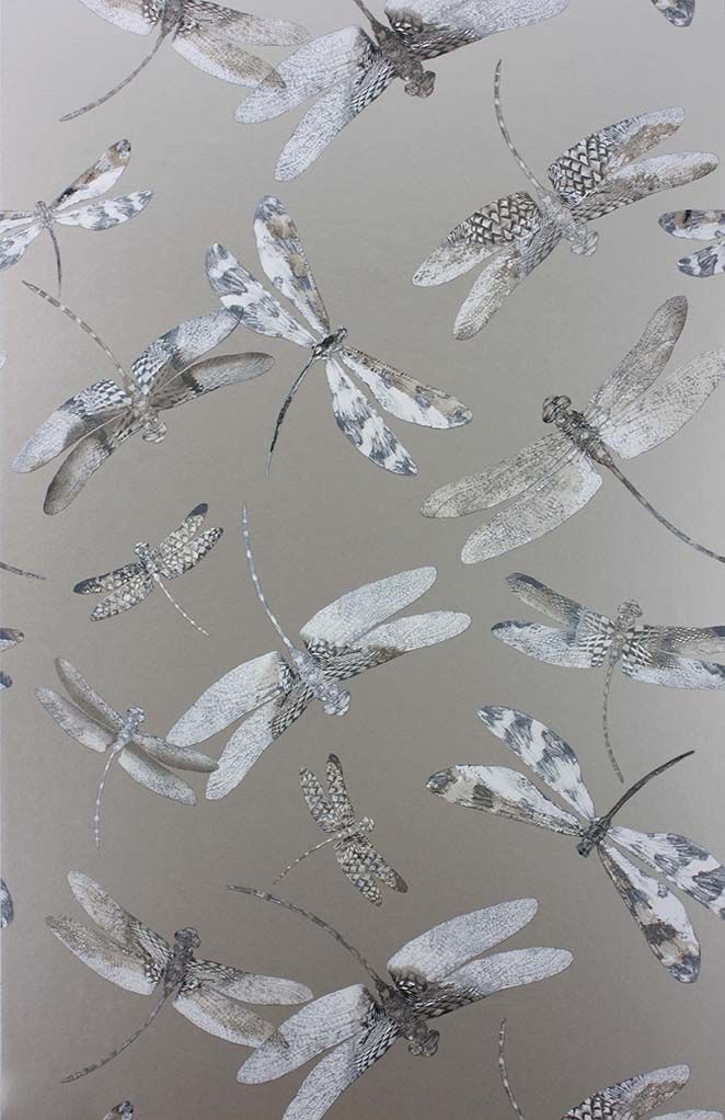 media image for Dragonfly Dance Wallpaper in gray from the Samana Collection by Matthew Williamson 243