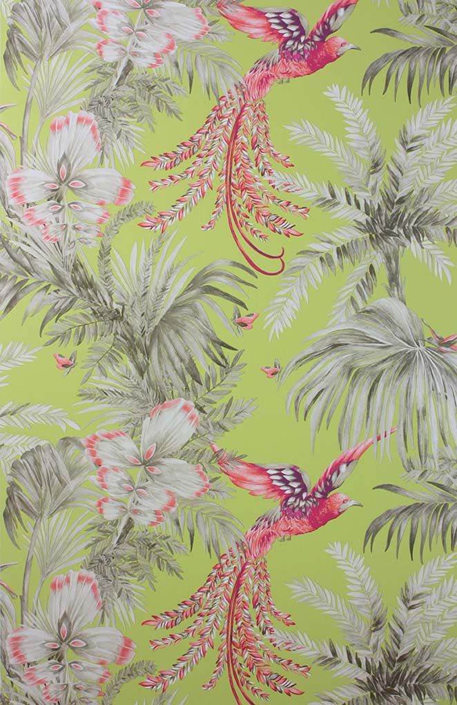 media image for Bird Of Paradise Wallpaper in multi-color from the Samana Collection by Matthew Williamson 20