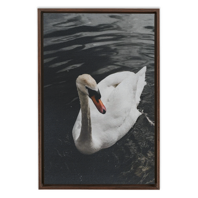 product image for swan framed canvas 3 83