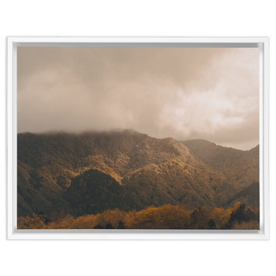 product image for furnas canvas 4 6