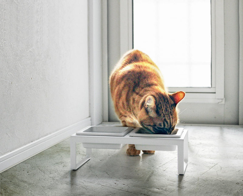 media image for tower pet food bowl with stand tall by yamazaki yama 4744 6 295