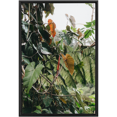 product image for jungle framed canvas 6 3