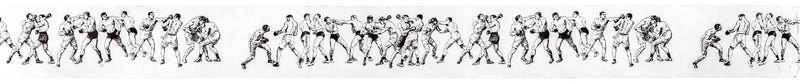 media image for packing tapein boxing design by puebco 2 248
