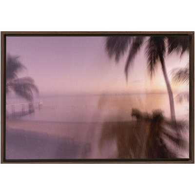 product image for spectra framed canvas 15 13