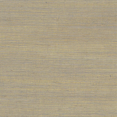 product image of Grasscloth Open Weave Woven Wallpaper in Golden 561