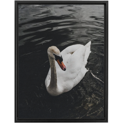 product image for swan framed canvas 13 55