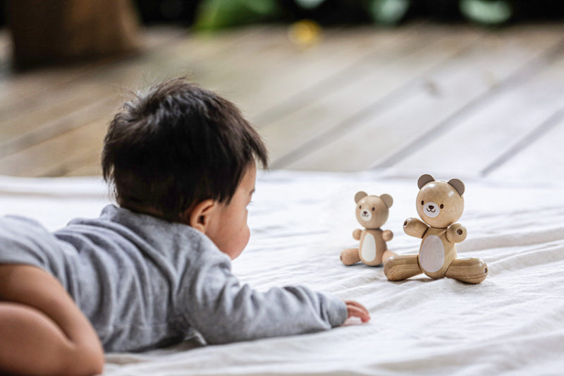 media image for bear and little bear by plan toys 2 237