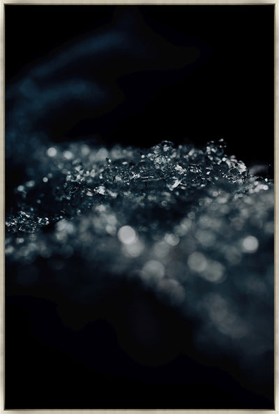 product image for Tiny Frost Bites of Water by Leftbank Art 65