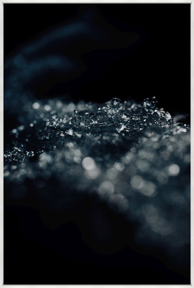 product image for Tiny Frost Bites of Water by Leftbank Art 23