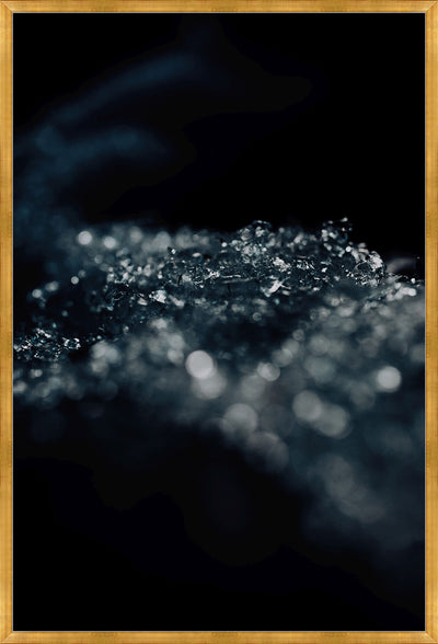 product image for Tiny Frost Bites of Water by Leftbank Art 52