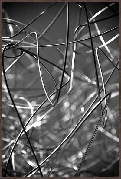 product image for Maxxi Wires II by Leftbank Art 11