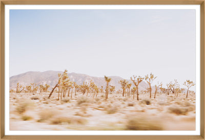 product image of Joshua Tree Framed Photo by Leftbank Art 536