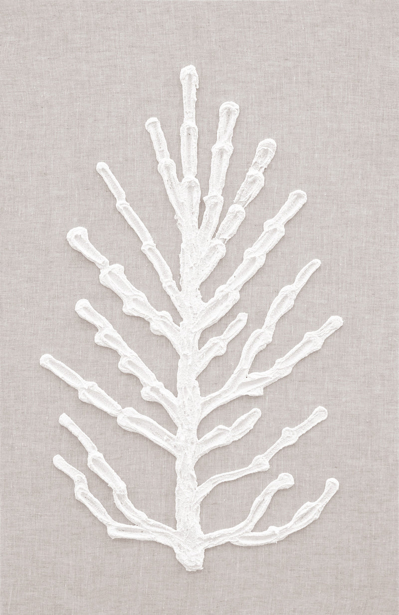 media image for Corals III 261