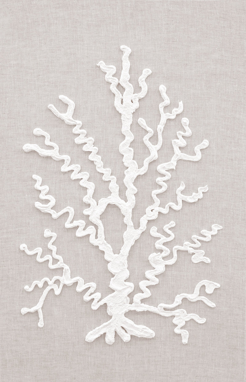 media image for Corals IV 296
